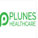 Healthcare Plunes 