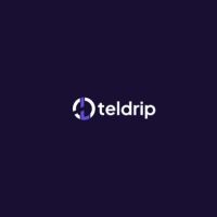 Call tracking Teldrip