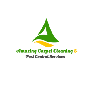 cleaningservices amazingcarpet