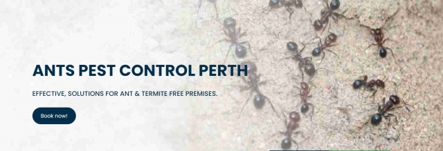 Control Pest 