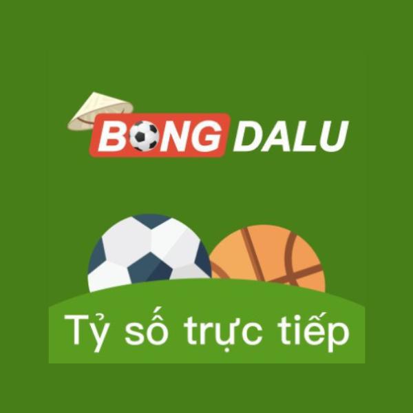 network bongdalu
