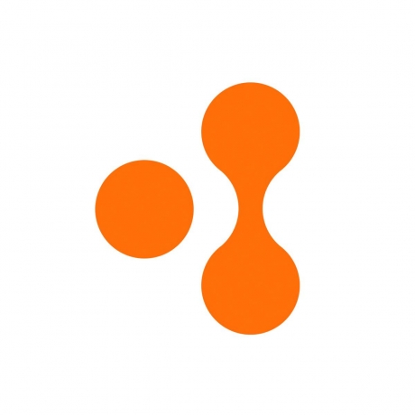 The Chiropractic Co. SEO