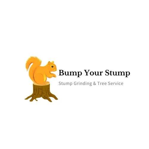 Bump Your Stump Stump Grinding  & Tree Service LLC