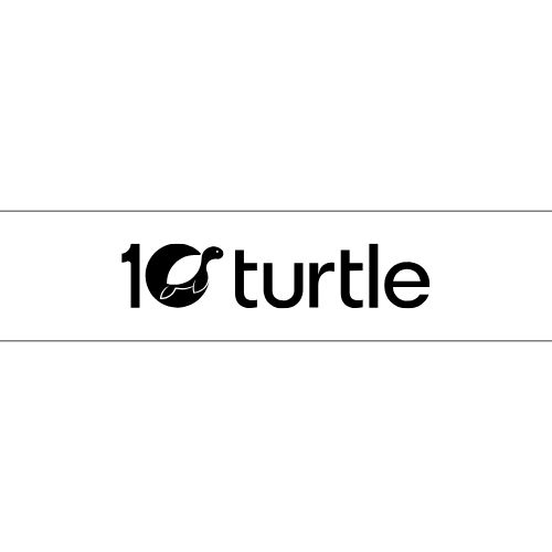 turtle 10
