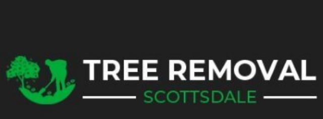  Scottsdale Tree Removal