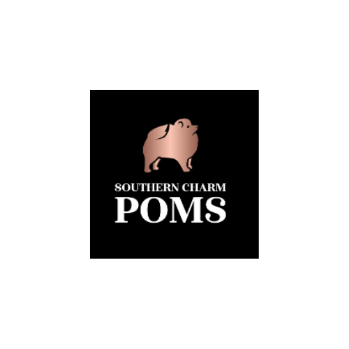 Poms Southern Charm 