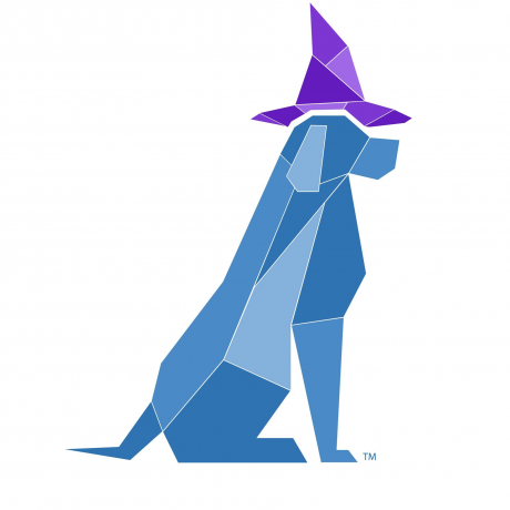 Round Rock The Dog Wizard 