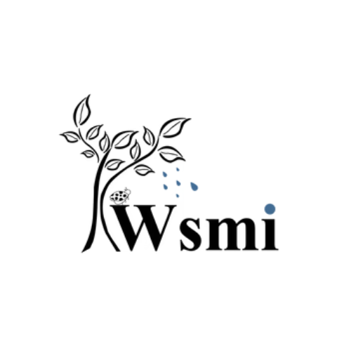 WSMI SEO
