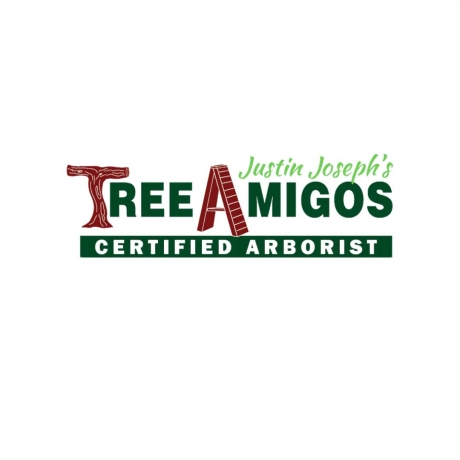 Tree Service Tree Amigos 
