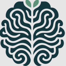 Mental Health Clinic Hopeful Minds
