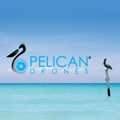 Drones Pelican