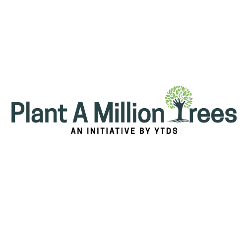 Million Trees Plant A 