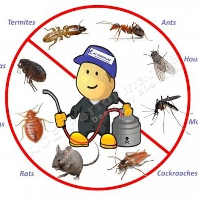 Pest Control Absolute Finest