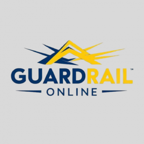 Online Guardrail