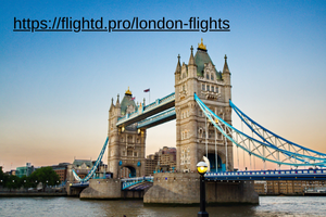 offcial flightd