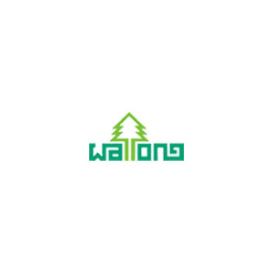 wallong tech