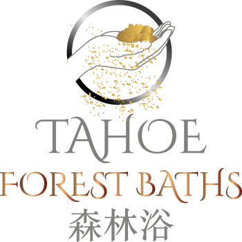 Forest Baths Tahoe