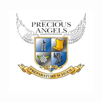 School Precious Angels Preparatory 
