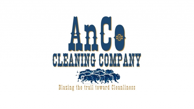 Company AnCo Cleaning