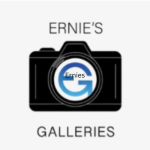 Galleries Ernies 