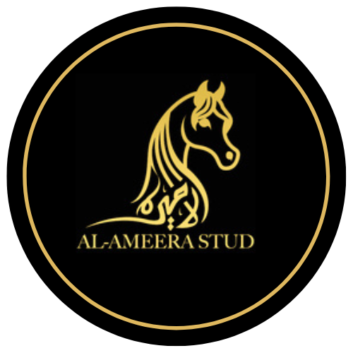 stud alameera