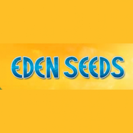 Seed Heirloom 