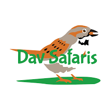 Safaris Dav