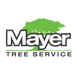 Mayer Dan