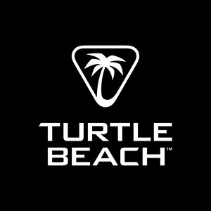 Beach Turtle