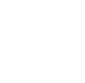 Limousine Lionsgate