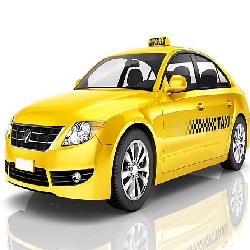 UK Taxiolgy