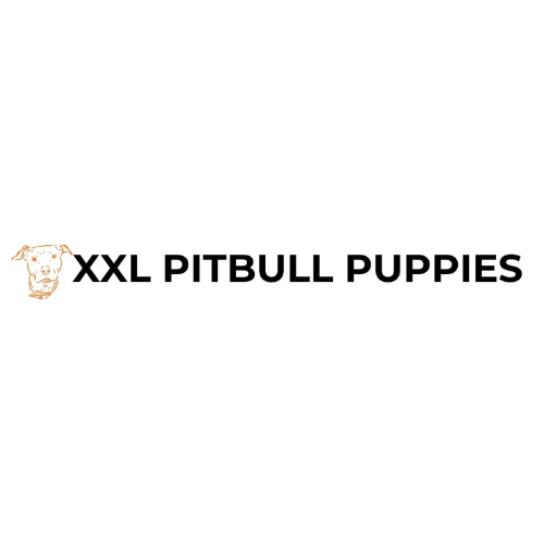 puppies pitbull