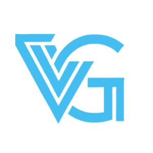 Group LLC  Values
