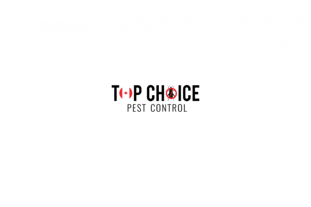 Pest Control Top Choice