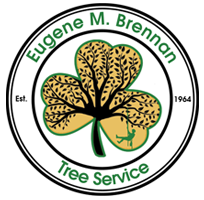  Tree Service LLC Eugene M Brennan
