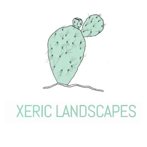 Landscapes Xeric