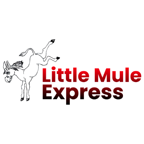 Express LLC Little Mule