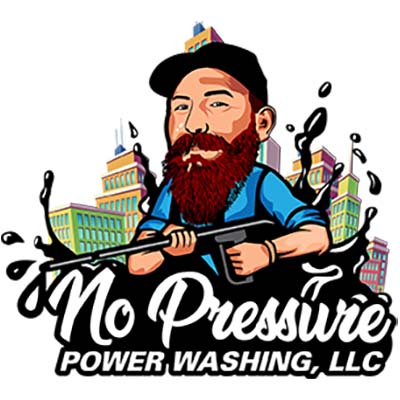 Washing, LLC No Pressure Power 