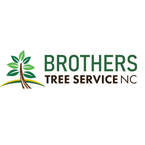 service brotherstree
