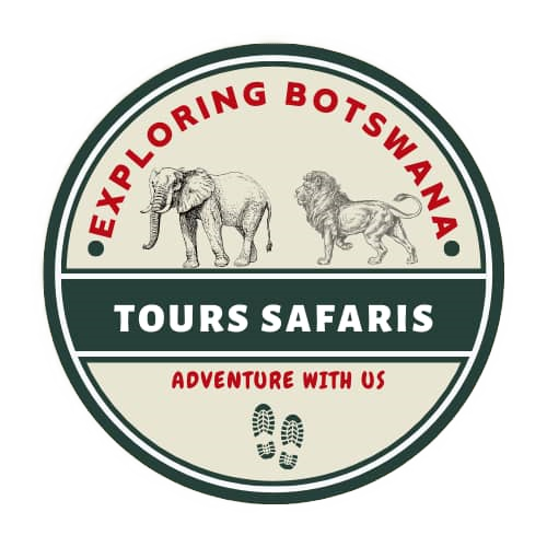 Tours & Safaris Exploring Botswana