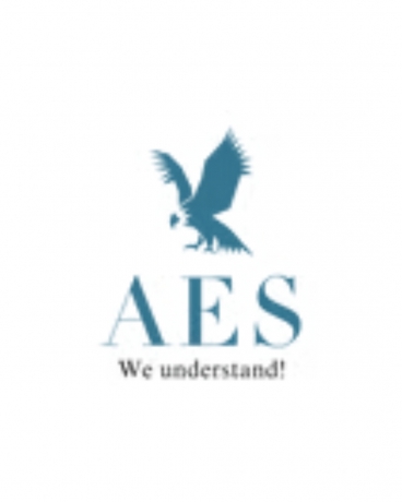 Alcove Electronic  Services