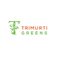 tri murti