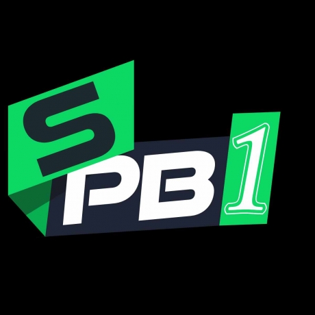 Portal game SPB808