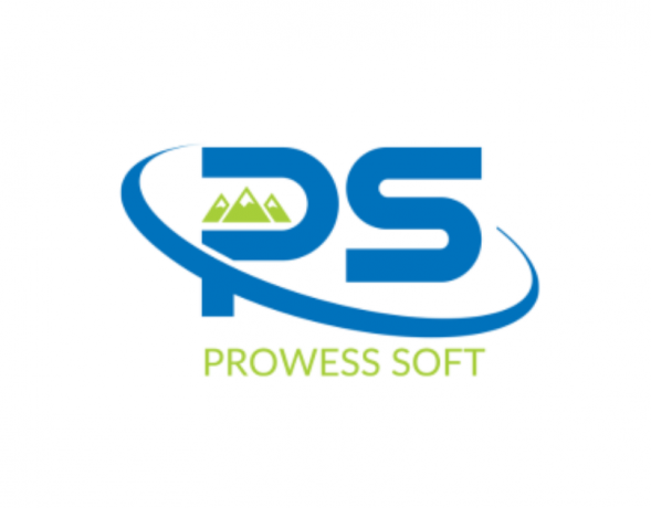 software prowess