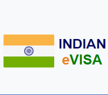 VISA INDIAN ELECTRONIC