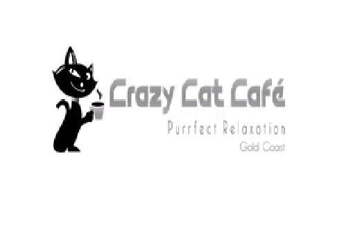 Cat Cafe Crazy