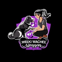  waggers weeki wachee