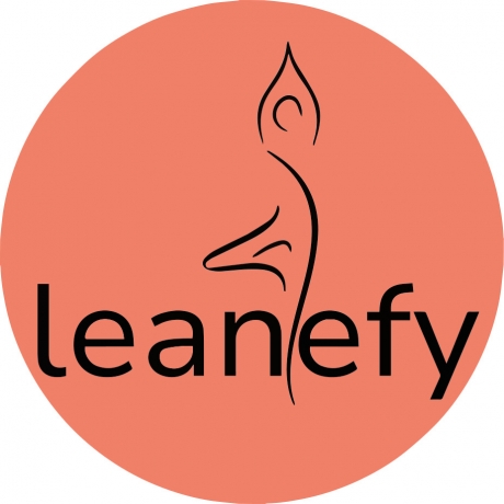 LLC Leanefy