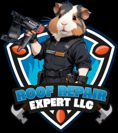 Expert LLC Roof Repair 
