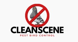Bird Control Clean Scene 